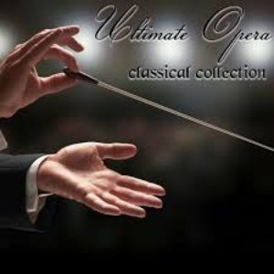 Avatar di Brewer Chamber Orchestra