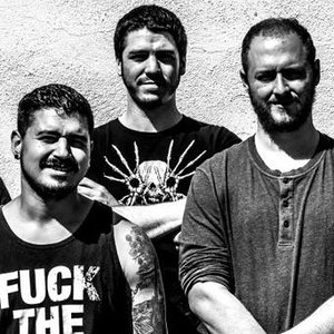 Avatar for Windows of Lucidity