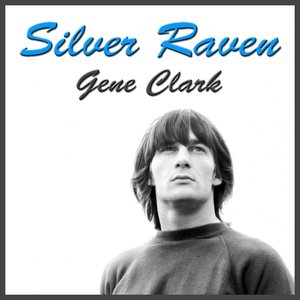 Silver Raven