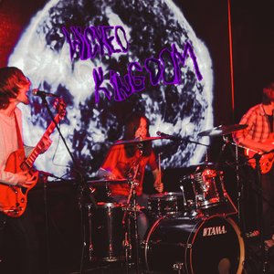 Wicked Kingdom 的头像