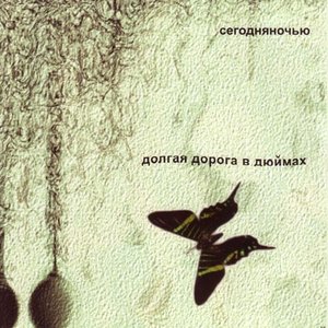 Долгая дорога в дюймах