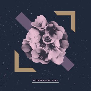 S​.​T. / Omonimo