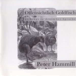 Offensichtlich Goldfisch