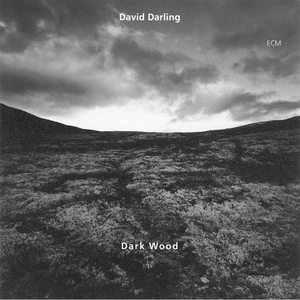Darkwood IV: In Motion cover