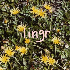 Lingr - Single