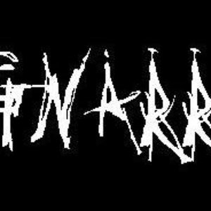 Gnarr 的头像