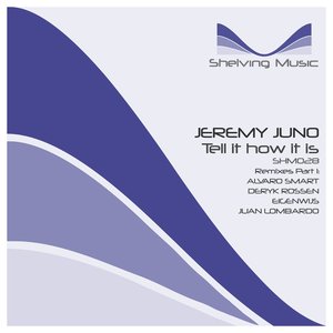 Tell It How It Is (Remixes Part 1)
