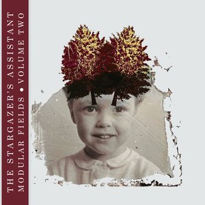 Modular Fields. Volume Two