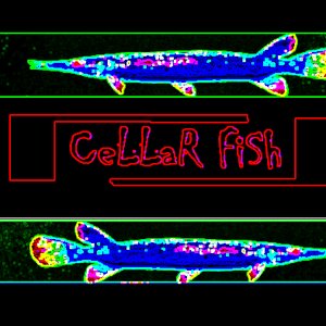 Imagem de 'Cellar Fish'