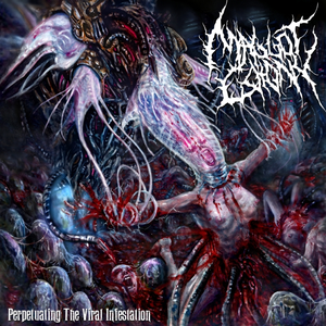 Intro cover