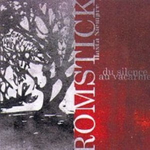 Image for 'Romstick'