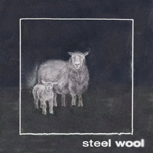 Steel Wool