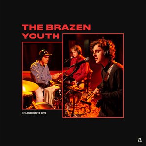 The Brazen Youth on Audiotree Live