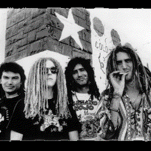 Loco Gringos photo provided by Last.fm