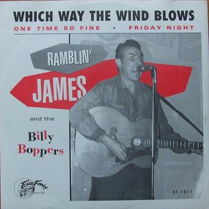 Ramblin' James & The Billyboppers のアバター