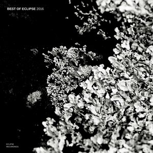 Best of Eclipse 2016