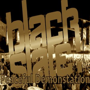 Peaceful Demonstration