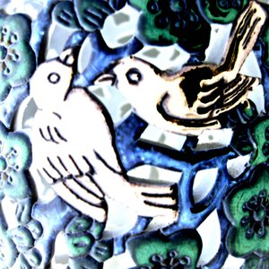 Bird live