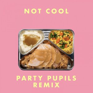 Not Cool (Party Pupils Remix)