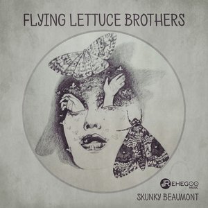 Flying Lettuce Brothers (Experimental Rock, Stimulating Brain, Aggressive, Psychedelic Music)