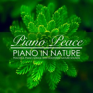 Piano in Nature