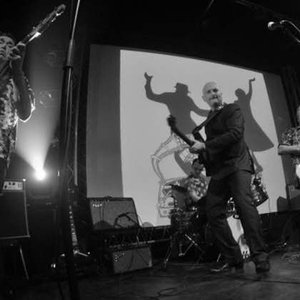 Sir Bald Diddley & His Ripcurls 的头像