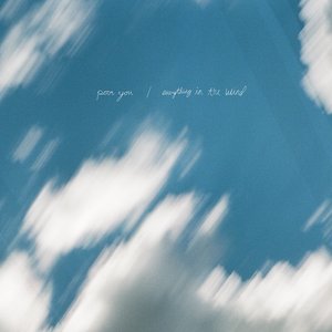 Everything in the Wind - Single