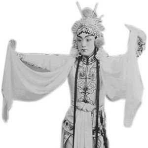 Avatar for 尚小云