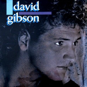 David Gibson