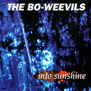 Into Sunshine