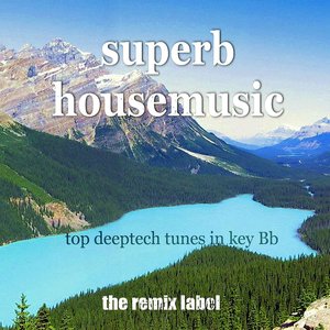 Superb Housemusic (Top Deeptech Tunes In Key Bb)