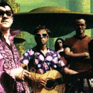 Azucarillo Kings 的头像