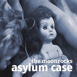 Image for 'Asylum Case'