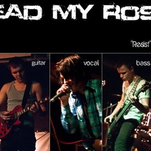 Avatar for Dead My Rose