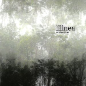 Lillnea