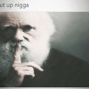 Avatar for Release - Topic