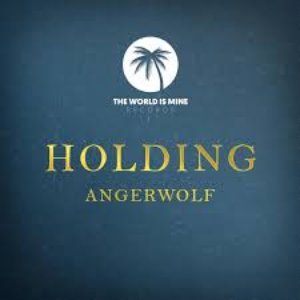 Holding