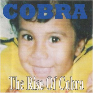 The Rise of Cobra