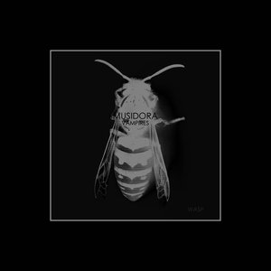 WASP