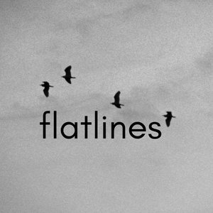 Image for 'Flatlines'