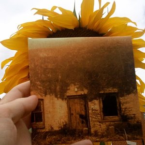 Found Photographs of Ancestors