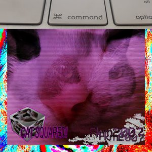 Kat i Anden! (Cat Squared​!​)