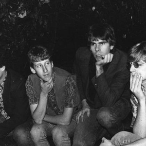 The Green Pajamas photo provided by Last.fm