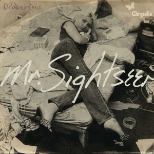 Mr. Sightseer