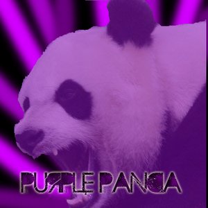 Avatar for Purple Panda