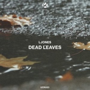 Dead Leaves - Single