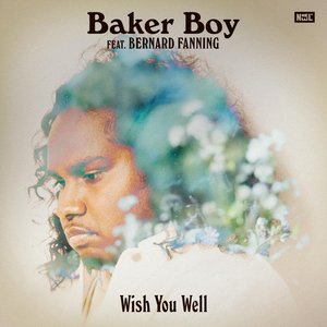 Wish You Well (feat. Bernard Fanning) - Single