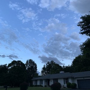 Baby Blue