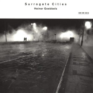 “Surrogate Cities”的封面