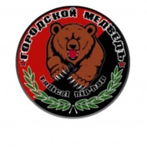 Городской Медведь için avatar